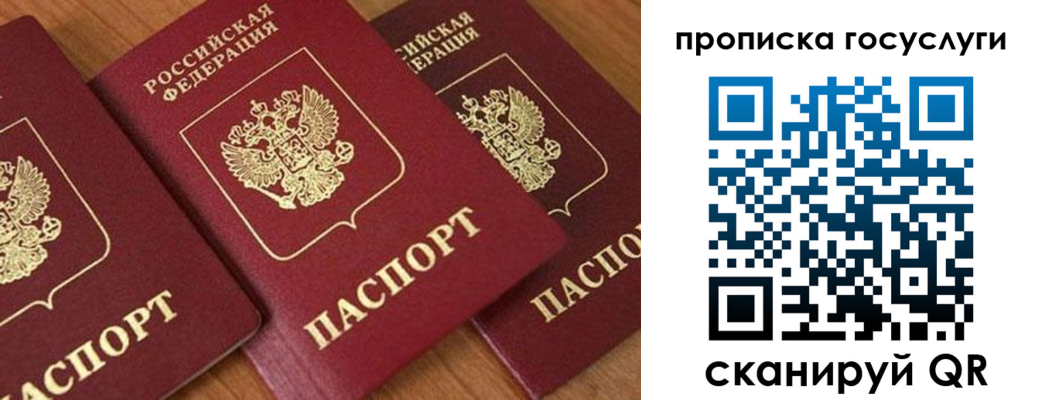 временная прописка в Луховицах
